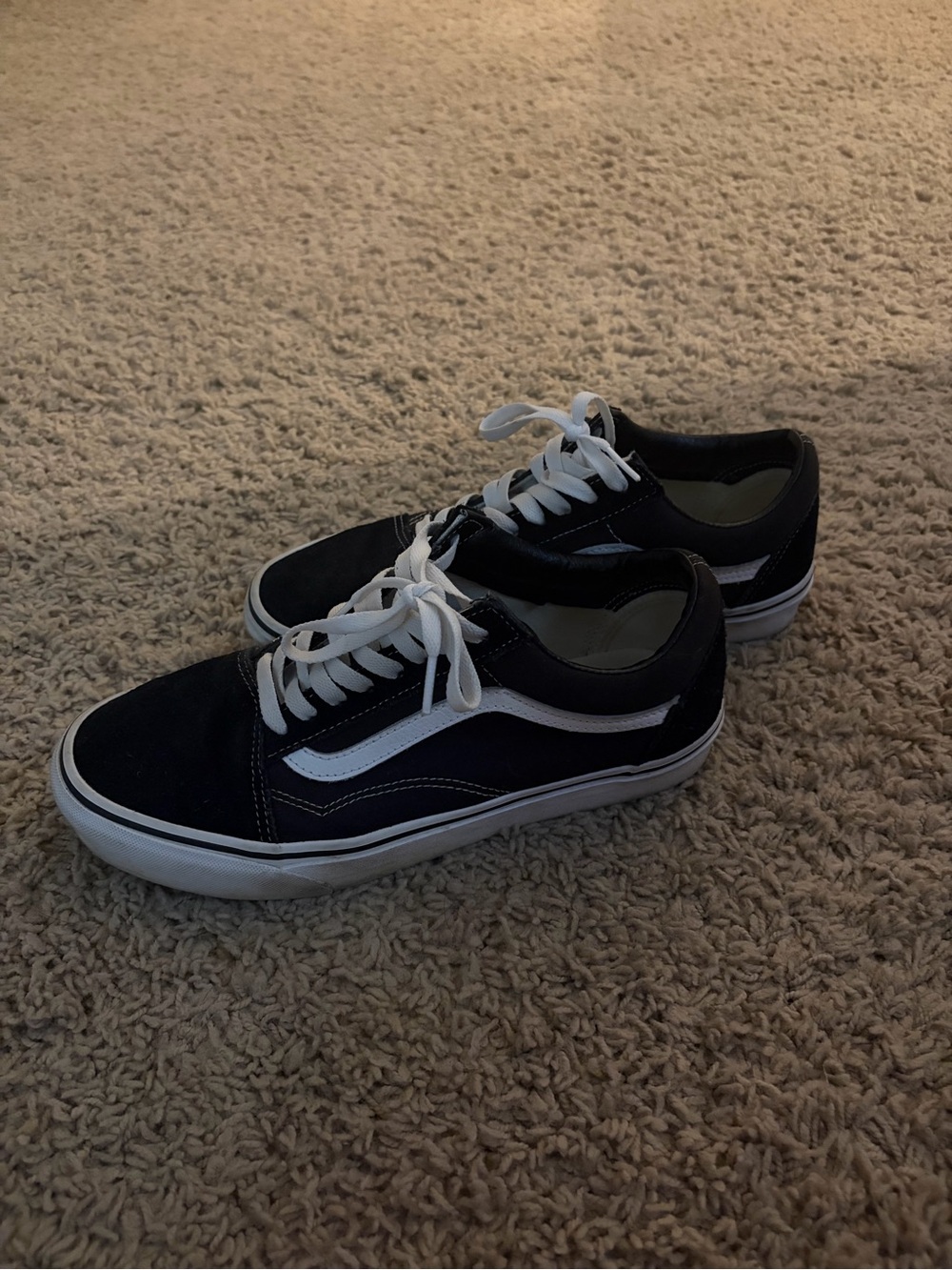 Vans Black and White Skate Sneakers